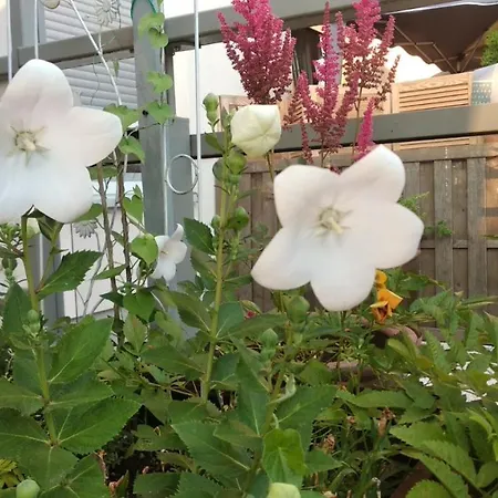 Apartament Selenza By Na Dni