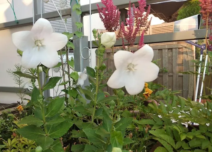 アパート Selenza By Na Dni